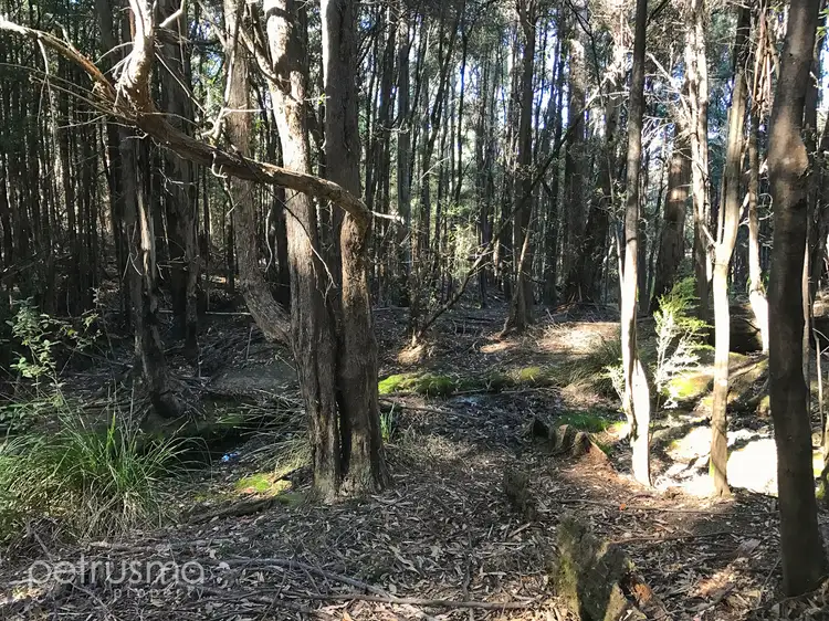 401 Woodbridge Hill Road, Woodbridge TAS 7162