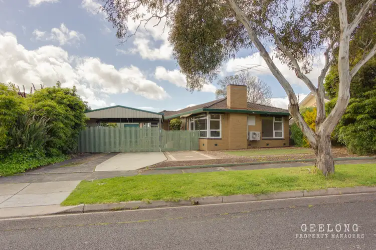 7 Olwen Ave, Belmont VIC 3216