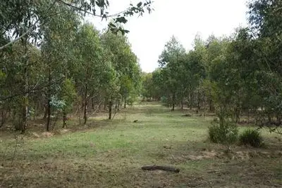 Sixth view of Homely rural property listing, 244 Bukeiro Road, Walcha NSW 2354