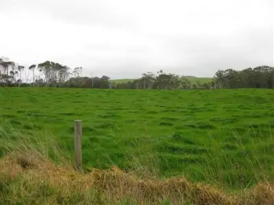 Seventh view of Homely rural property listing, 120 Linnanes Road, Marrawah TAS 7330