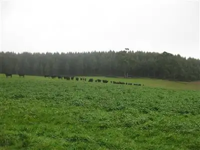 Fifth view of Homely rural property listing, 2282 Mawbanna Road, Mawbanna TAS 7321