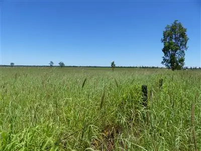 Seventh view of Homely rural property listing, . "Redmarley", Condamine QLD 4416