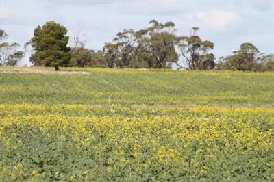 Fourth view of Homely rural property listing, Address available on request