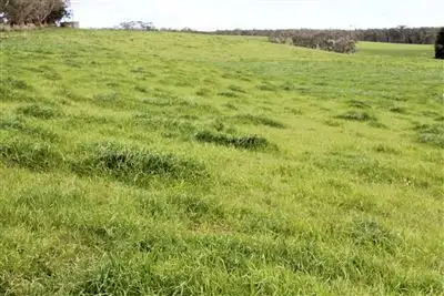 Fifth view of Homely rural property listing, Address available on request