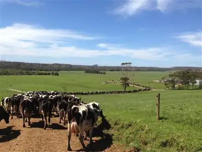 Third view of Homely rural property listing, 49 Hills Road, Redpa TAS 7330