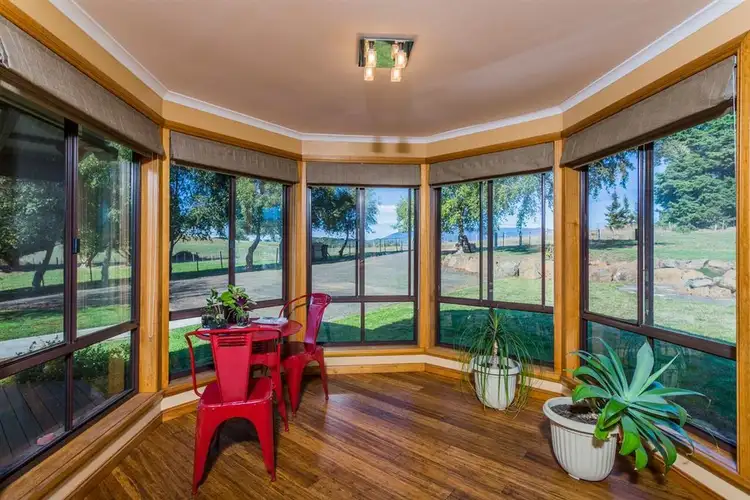 Seventh view of Homely rural property listing, 356 Briggs Road, Scottsdale TAS 7260