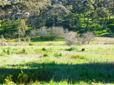 Third view of Homely land listing, 95 Mine Street, Armagh SA 5453