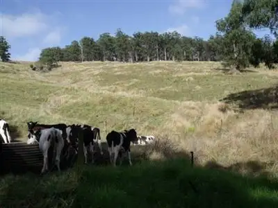 Third view of Homely rural property listing, Lot 1-7 Albert River Road, Hiawatha VIC 3971