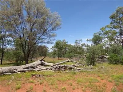 Third view of Homely rural property listing, . Greens Paddock, Bourke, Bourke NSW 2840