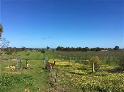 Second view of Homely house listing, 61 High Street, Rutherglen VIC 3685