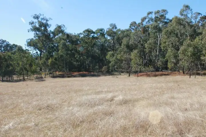 Fifth view of Homely rural property listing, Lot 9 Torrington Rd, Torrington NSW 2371