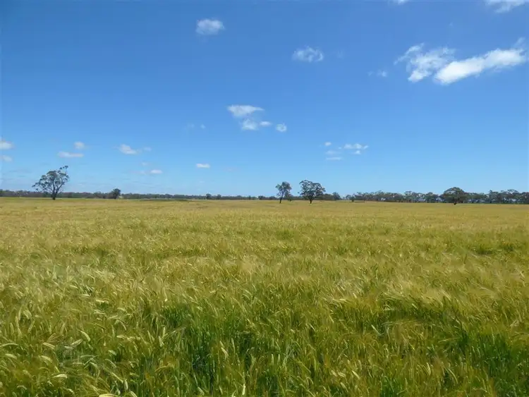 Seventh view of Homely rural property listing, 2481 Natimuk- Frances Road, Gymbowen VIC 3401