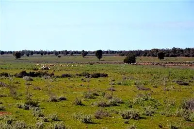 Second view of Homely rural property listing, * Kallara, Nyngan NSW 2825