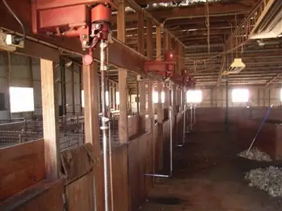 Seventh view of Homely rural property listing, 11 Tantonan Road, Moama NSW 2731