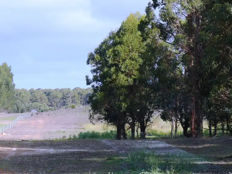Seventh view of Homely rural property listing, Lot 20 Orleans Road, Esperance WA 6450