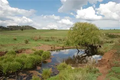 Third view of Homely rural property listing, Address available on request