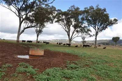 Fifth view of Homely rural property listing, Lot 2 Moobi Rd "Mt Pleasant", Scone NSW 2337