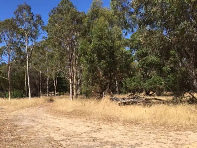 Sixth view of Homely rural property listing, 115 Clifton Downs Road, Herron WA 6211