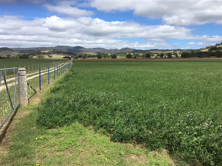 Fifth view of Homely rural property listing, 931 'Mullamuddy Farm' Castlereagh Highway, Mudgee NSW 2850