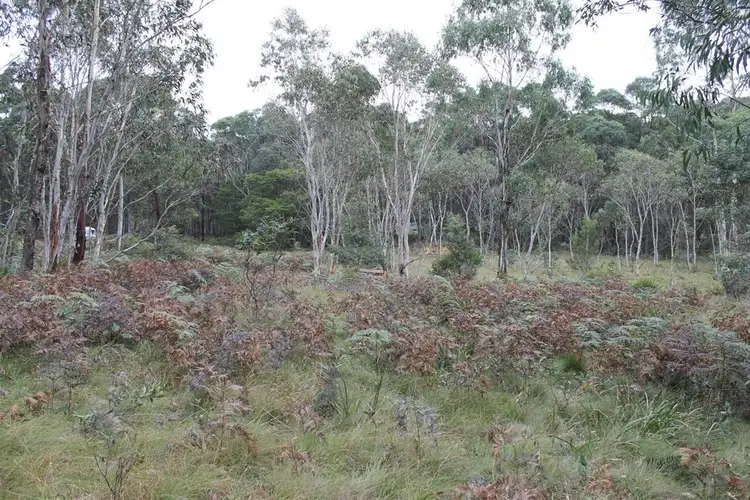 Seventh view of Homely rural property listing, Lot 2 McRaes Road, Braidwood NSW 2622