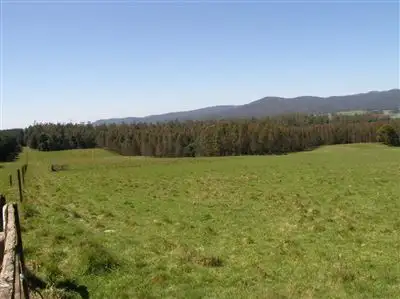Fifth view of Homely rural property listing, 33152 Tasman Highway, Legerwood TAS 7263
