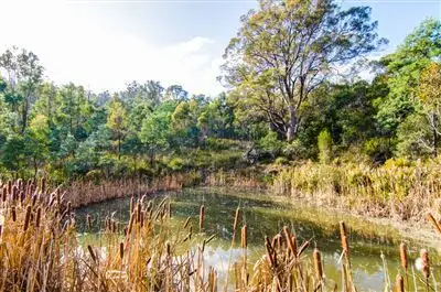 Third view of Homely land listing, 5 Keith Avenue, Travellers Rest TAS 7250