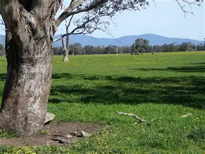 Sixth view of Homely rural property listing, 501 knight road, Benalla VIC 3672