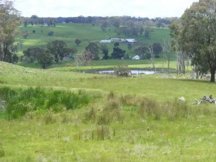 Fourth view of Homely rural property listing, "Mt Slow"/1057 Mount Slow Road, Glencoe NSW 2365