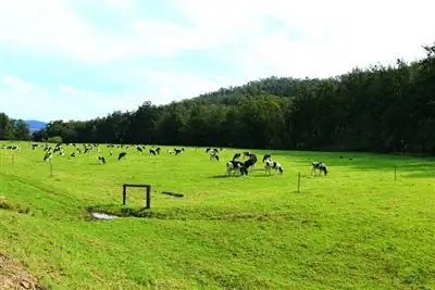 Second view of Homely land listing, 230 Allans Road, Kangaroo Valley NSW 2577