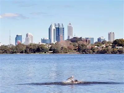Second view of Homely house listing, 37 Stuart Street, Maylands WA 6051