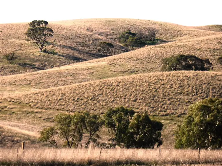 Fourth view of Homely rural property listing, 40 Sandstone Road, Spalding SA 5454