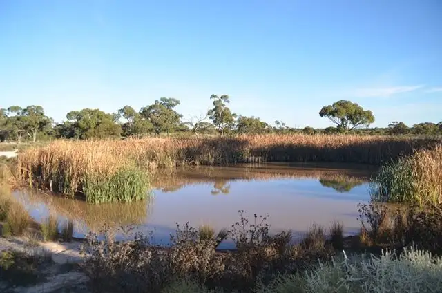 * The Top Block, Cobar NSW 2835