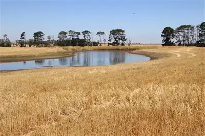 Seventh view of Homely rural property listing, 382 Mount William Road, Skipton VIC 3361