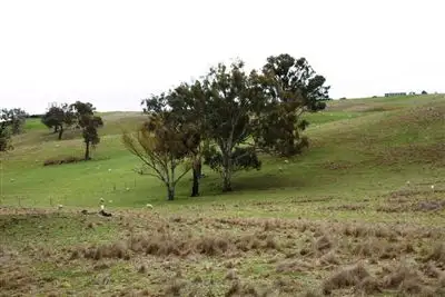 Lot 171 Reynolds Lane, Binalong NSW 2584
