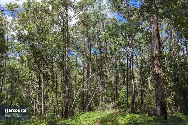 Seventh view of Homely land listing, RA Fyfes Road, Mountain River TAS 7109