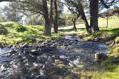 Third view of Homely rural property listing, 870 Pages River Rd, "West Creswell", Murrurundi NSW 2338