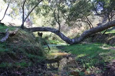 Fifth view of Homely rural property listing, Lot 3 Captains Flat Road, Harolds Cross, Braidwood NSW 2622