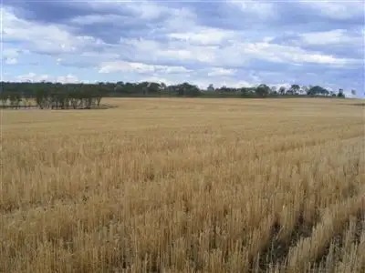 Second view of Homely rural property listing, 550 Dalby- Apunyal Rd, Dalby QLD 4405