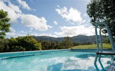 Fourth view of Homely rural property listing, 870 Stewarts Brook Rd, "Binda" via, Scone NSW 2337