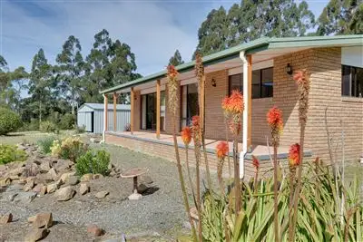 Fourth view of Homely house listing, 17 Hastings Caves Road, Hastings TAS 7109