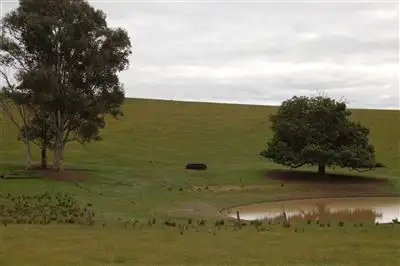 Seventh view of Homely rural property listing, Keajura Grove, Murray's Lane, Tarcutta NSW 2652