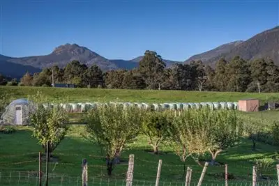 Sixth view of Homely house listing, 33 Bennetts Road, Mountain River TAS 7109