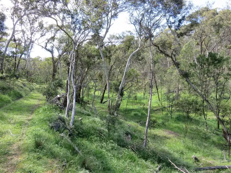 Seventh view of Homely land listing, 315 South Steiglitz Road, Steiglitz VIC 3331