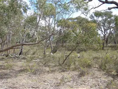 Fifth view of Homely rural property listing, Lot 9 John McPhees Drive, Toolondo, Horsham VIC 3400