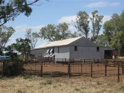 Third view of Homely rural property listing, . 'Peronne', Ungarie NSW 2669