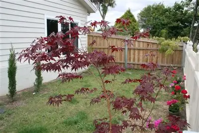 Sixth view of Homely house listing, 1/24 Lewis Street, Longford TAS