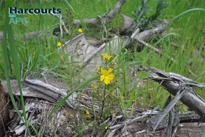 Fifth view of Homely land listing, 16 Halyard Parade, Leschenault WA 6233