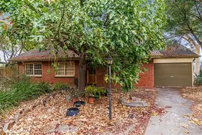 19 Hollard Avenue, Grange SA 5022