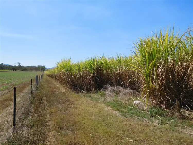 Fifth view of Homely rural property listing, 205 Dunwold-Cattle Creek Road, Mirani QLD 4754