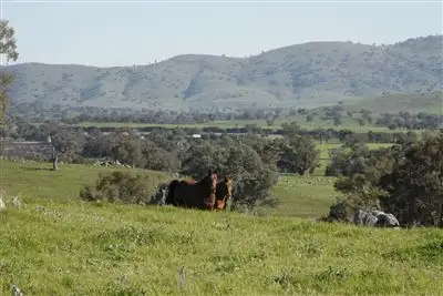 Main view of Homely rural property listing, 83 Mylora Street, Binalong NSW 2584